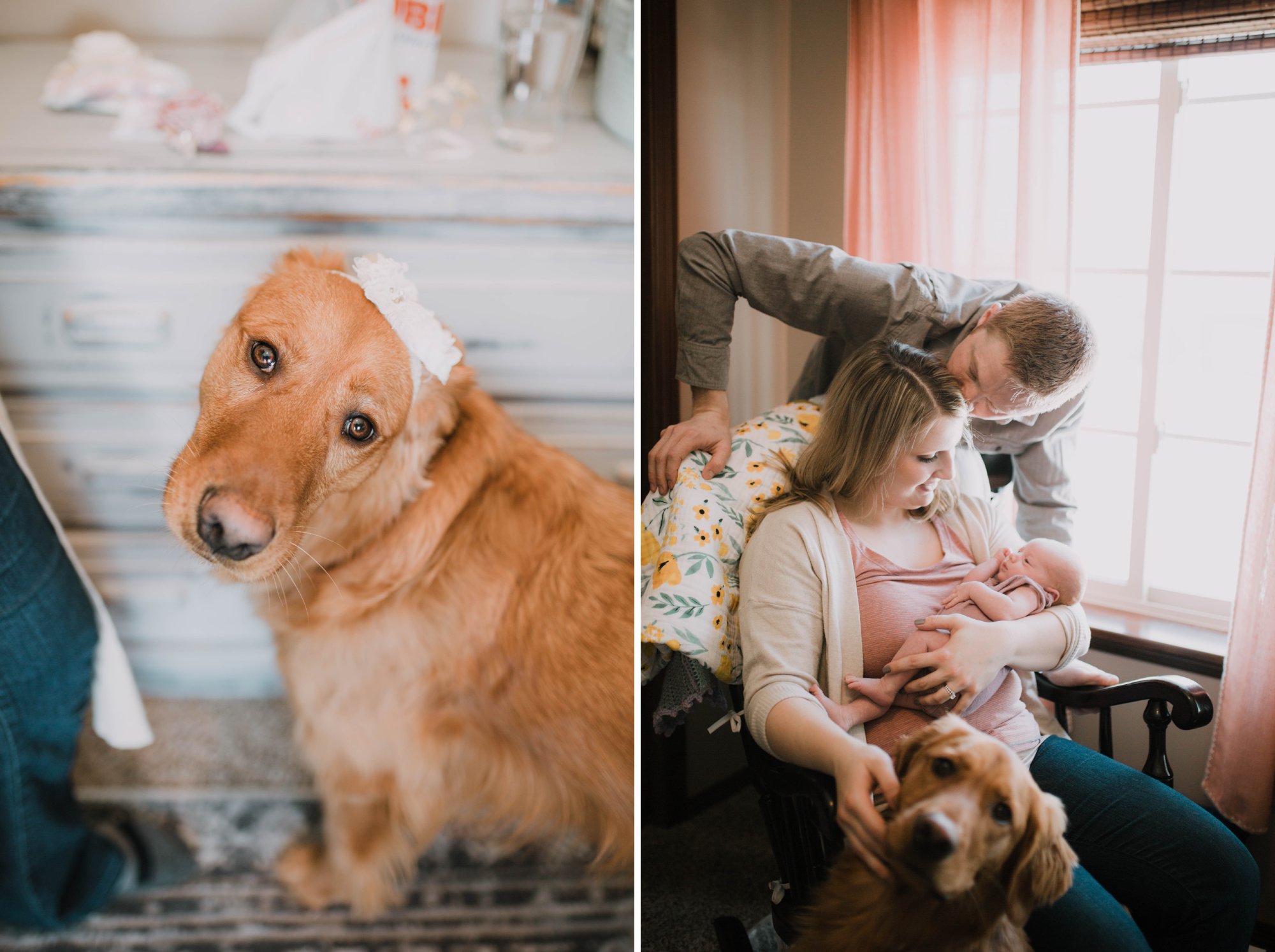 A newborn with her family and dog.
