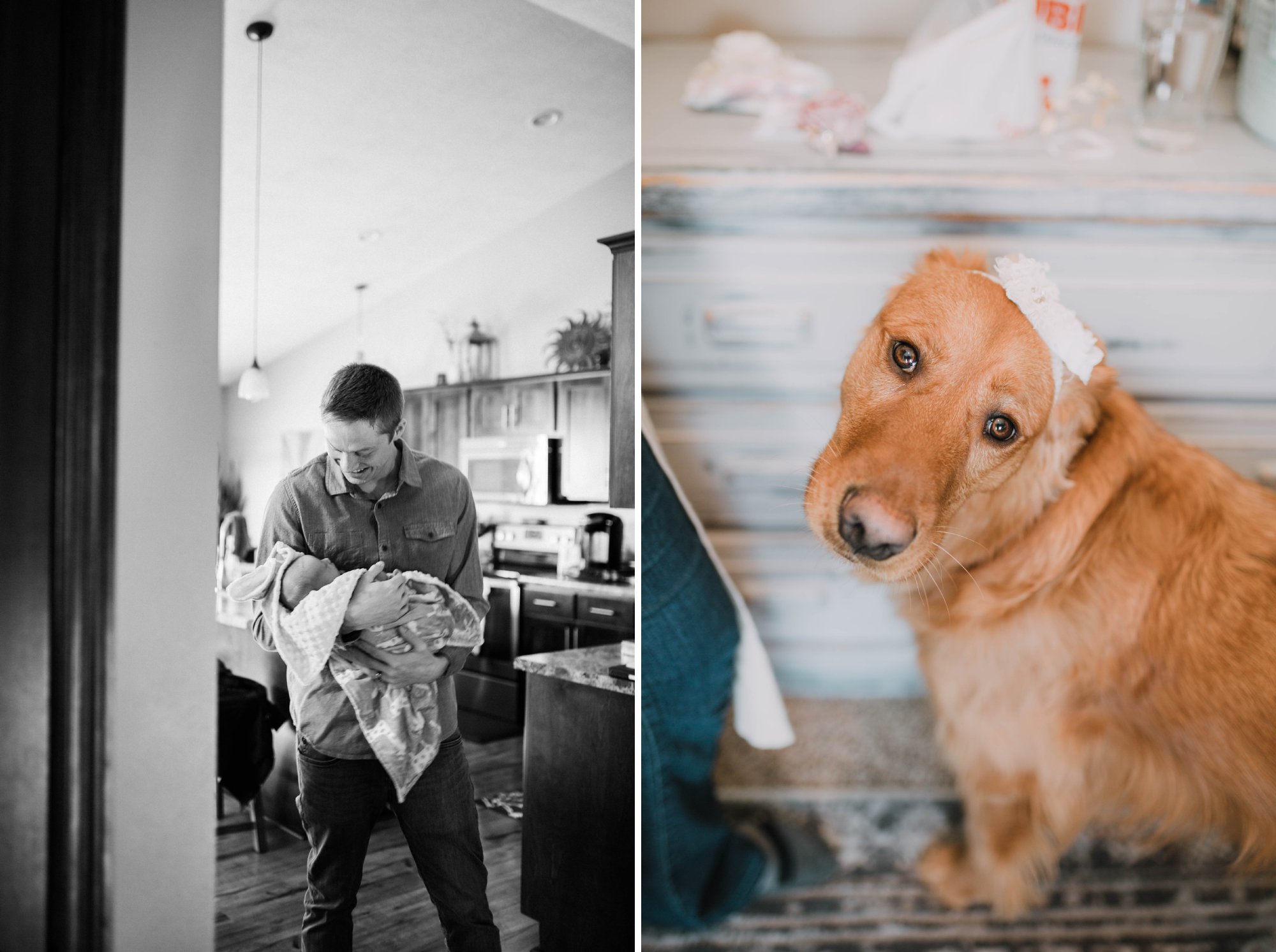 Lifestyle - Newborn with her dad and dog.